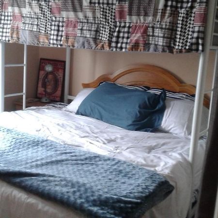Cozy Pet Friendly Home St. John's Εξωτερικό φωτογραφία
