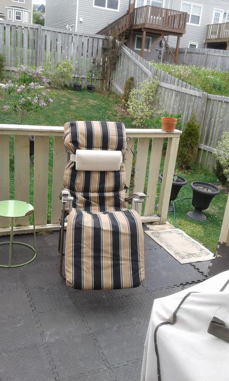 Cozy Pet Friendly Home St. John's Εξωτερικό φωτογραφία