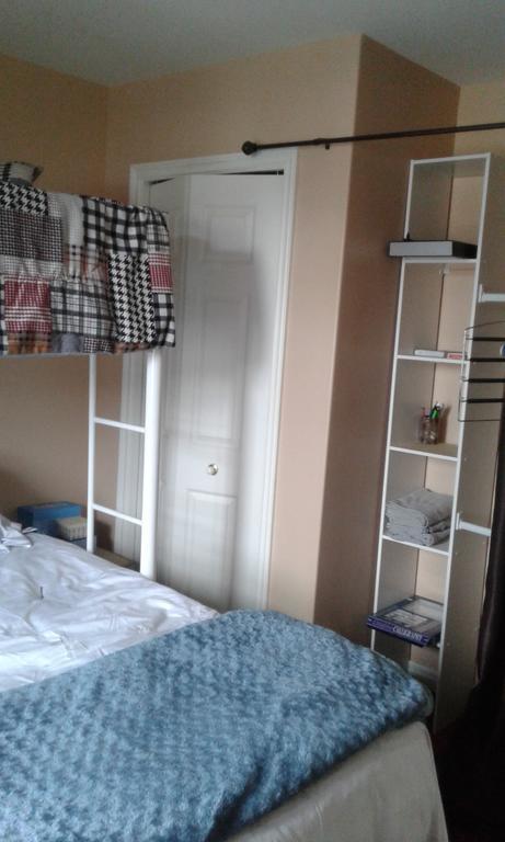 Cozy Pet Friendly Home St. John's Εξωτερικό φωτογραφία